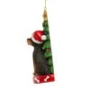 Rottweiler With Christmas Tree Ornament For Personalization