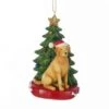Yellow Labrador Retriever With Christmas Tree Ornament For Personalization 1 Yellow Labrador Retriever With Christmas Tree Ornament For Personalization -Fancy Decor House Shop c7954ylb