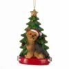 Yorkshire Terrier With Christmas Tree Ornament For Personalization -Fancy Decor House Shop c7954yo