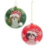 80MM Glass Shih-Tzu Christmas Disc Ornaments, 2 Assorted