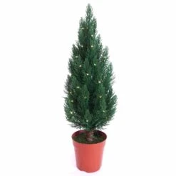 24" Pre-Lit LED Cypress Christmas Tree In Pot
