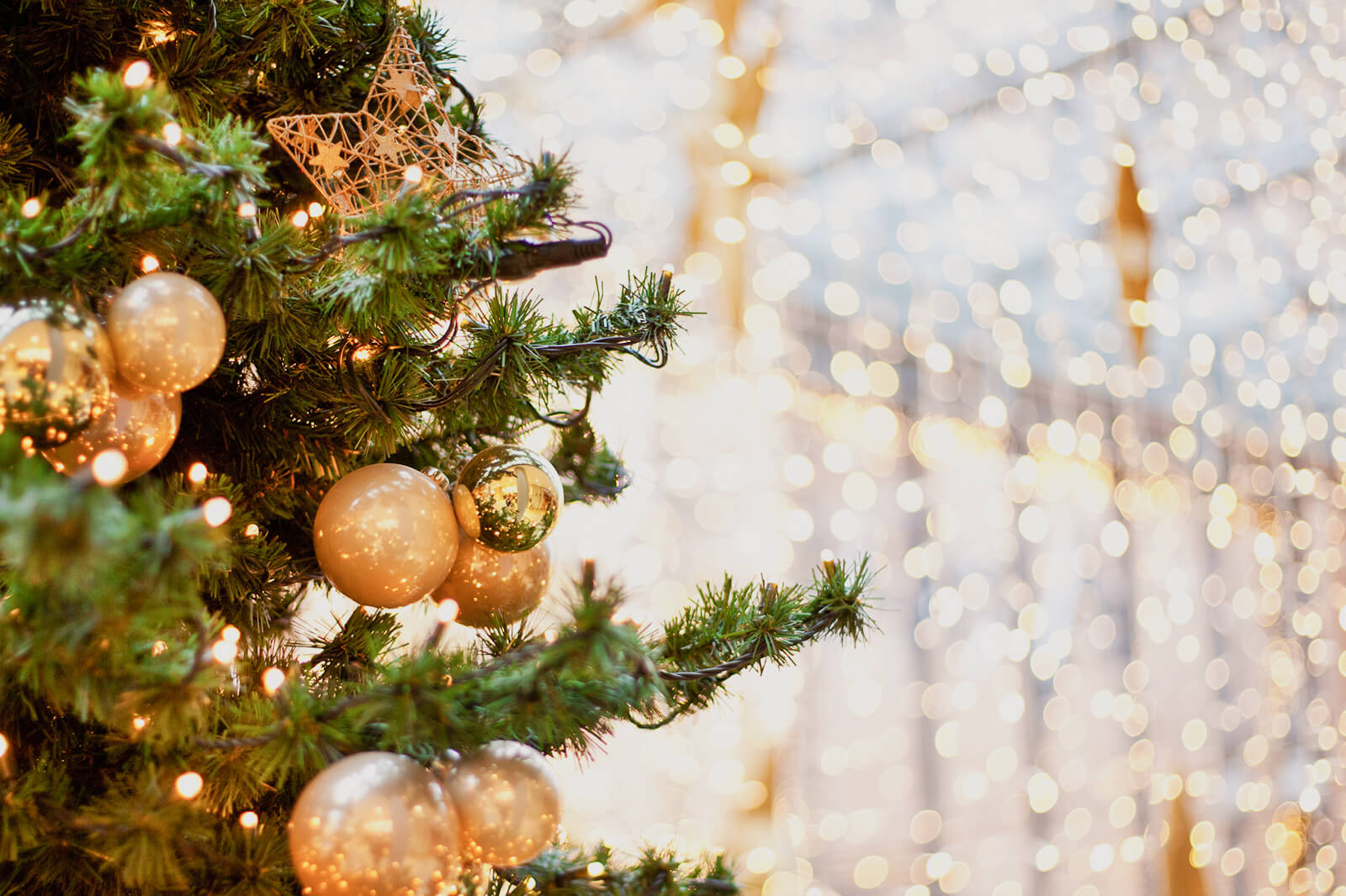 Fancy Decor House Shop -Fancy Decor House Shop 273890 1600x1066 quick history christmas lights